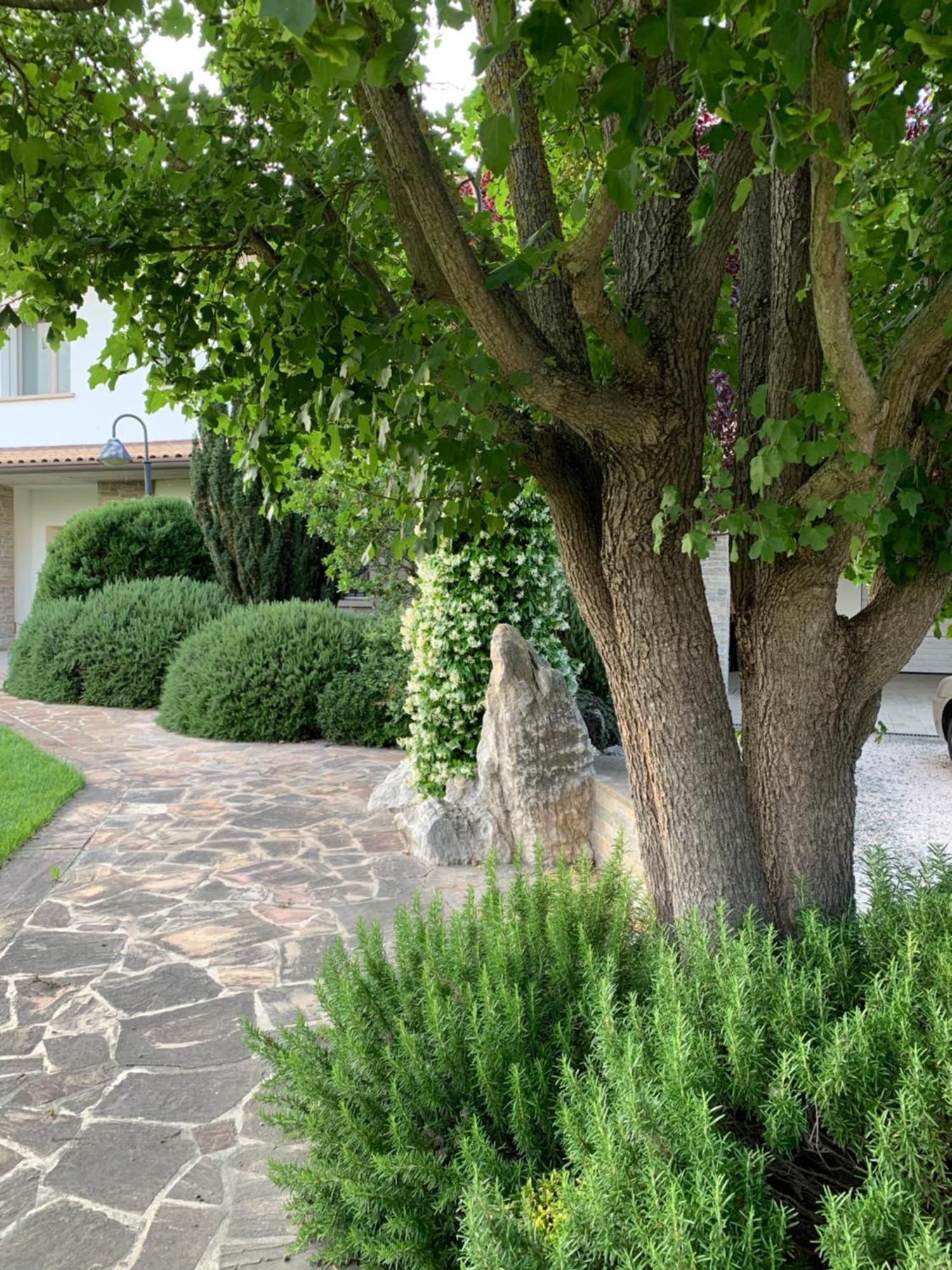 B&B Beauty House Cesena Exterior photo